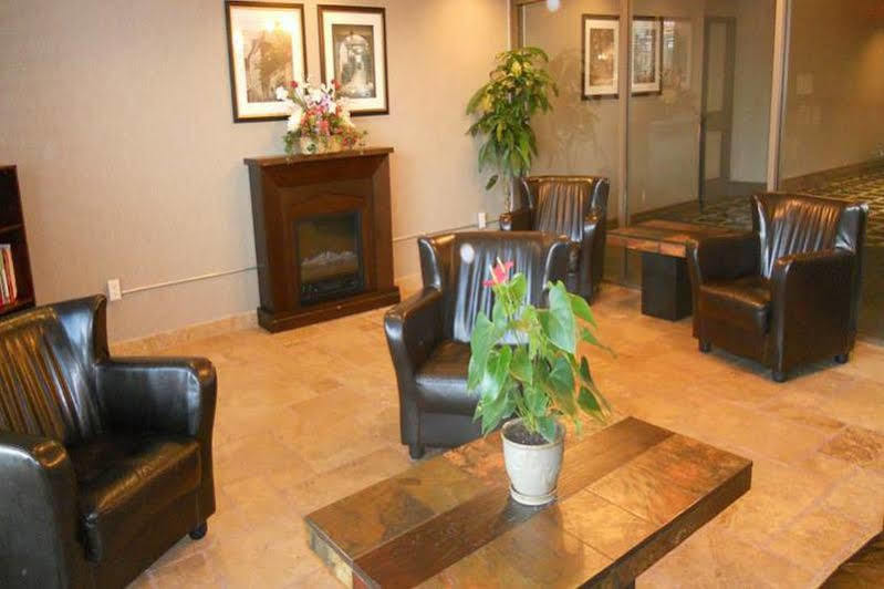 Days Inn By Wyndham Niagara Falls Lundys Lane מראה חיצוני תמונה